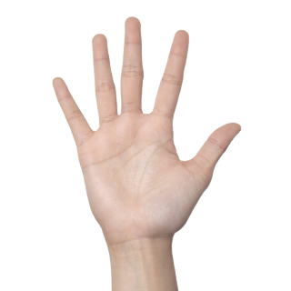 手技を行う院長の手