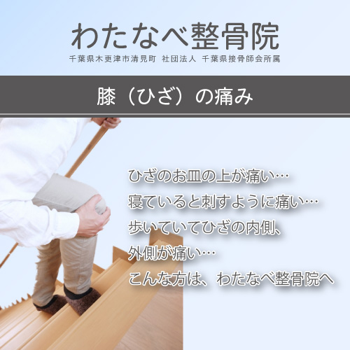 膝（ひざ）の痛みなら 木更津 わたなべ整骨院へ